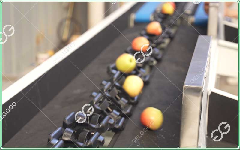  grading fruits and vegetables