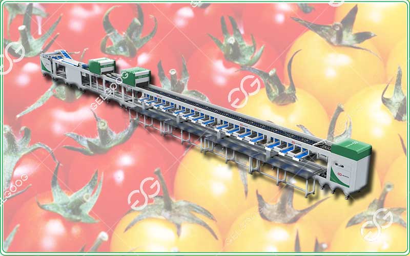 intelligent fruit sorting machine