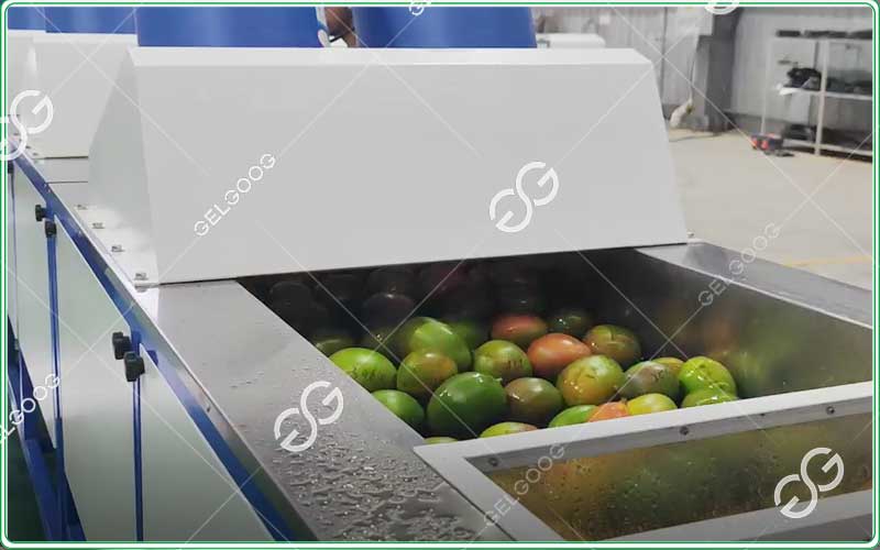 automatic mango fruit waxing processing machinery for sale