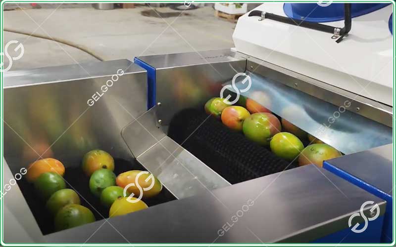 automatic mango waxing processing machinery