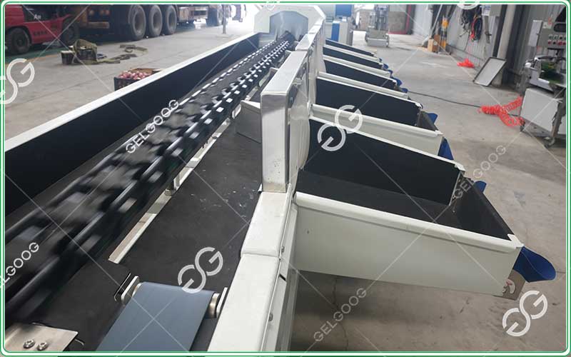 automatic mango sorting machine