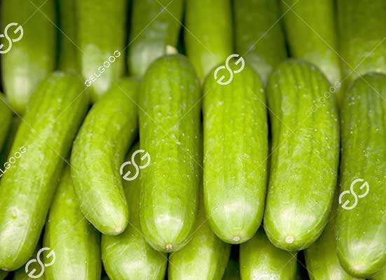 Cucumber packing machine