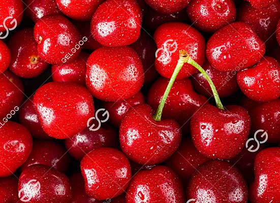 Cherry packing machine