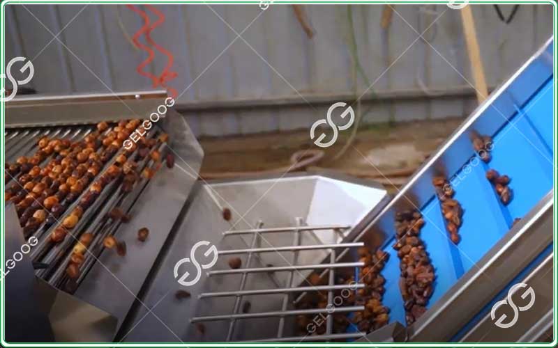  date washing cleaning machine