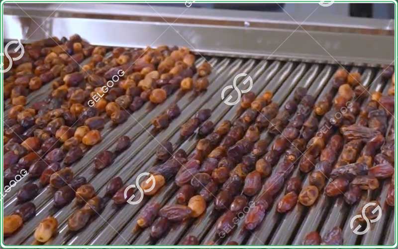 palm date washing cleaning machine manufacturer