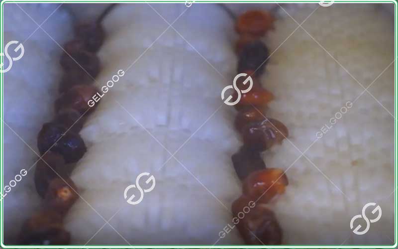 palm date washing cleaning machine