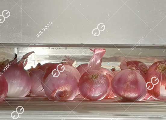 Onion peeling machine