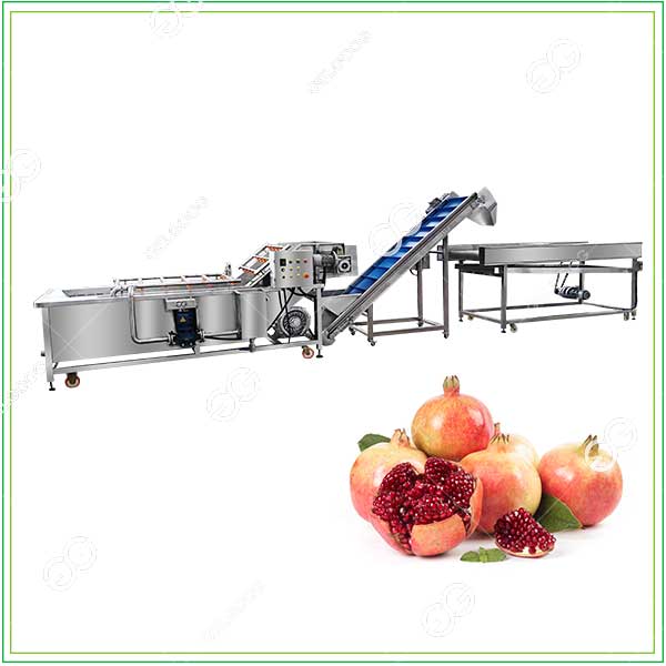 industrial pomegranate cleaning machine