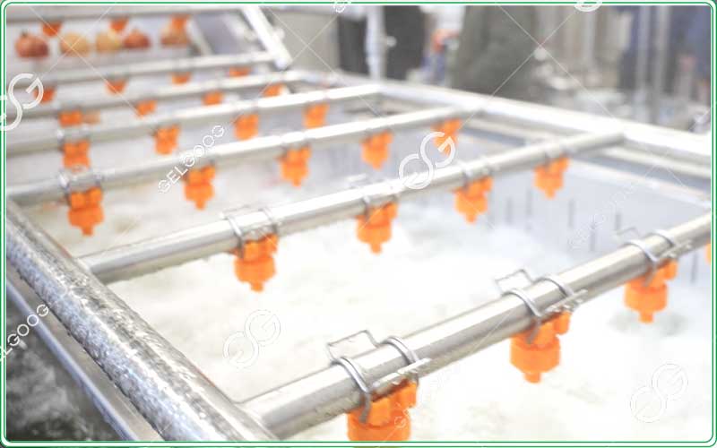 pomegranate cleaning machine