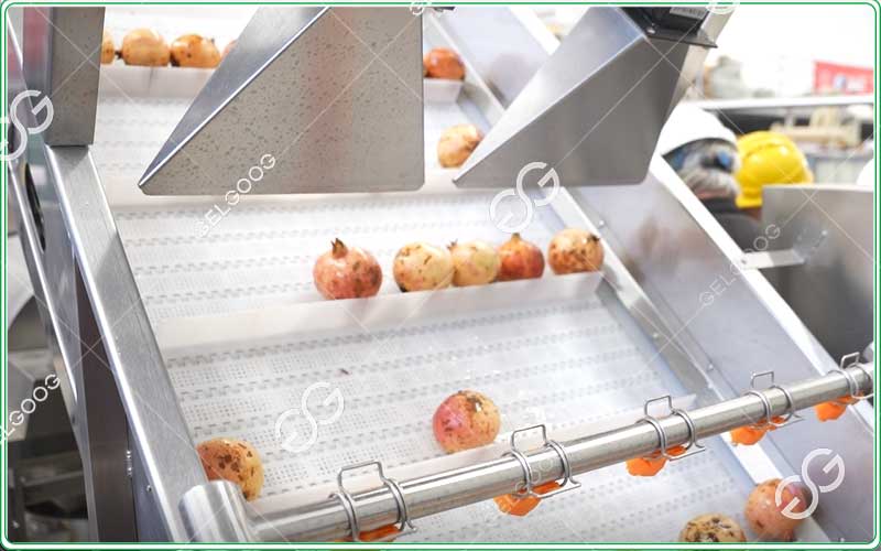 pomegranate washing machine