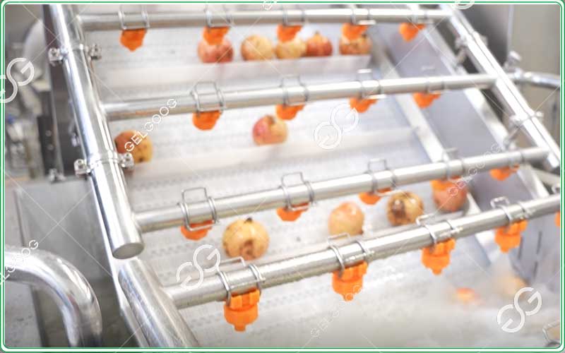 pomegranate cleaning machine