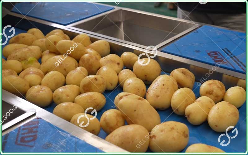 potato sorting machine work