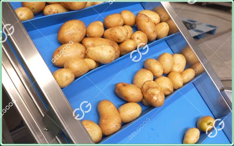 potato sorting works