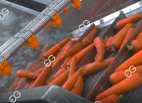 Carrot pre washing machine