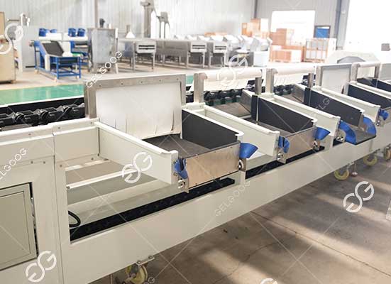 Chili Pepper sorting machine