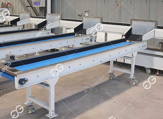 Pitaya sorting machine