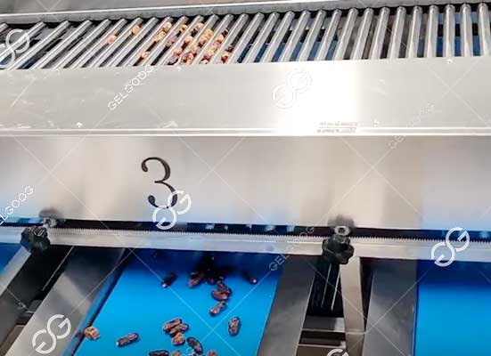 Dates sorting machine