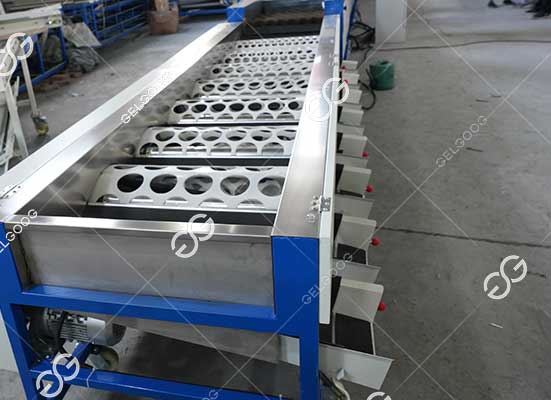 Blueberry sorting machine