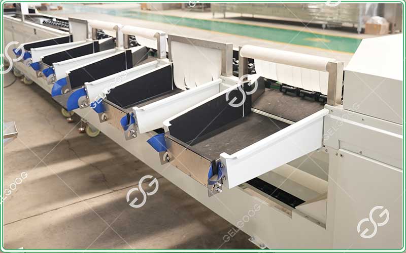 sorting foods production