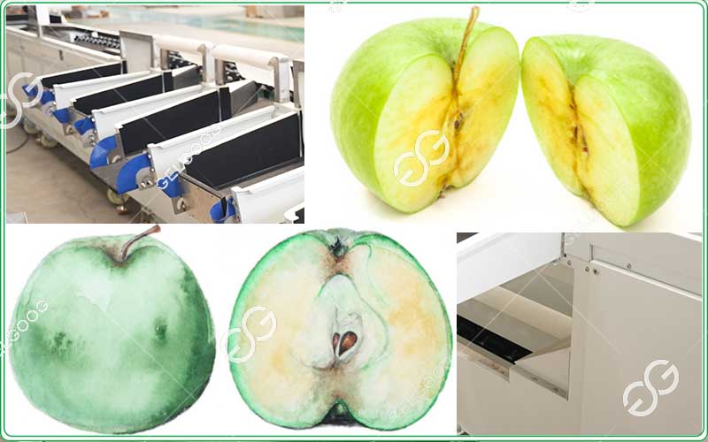 sorting in foods production