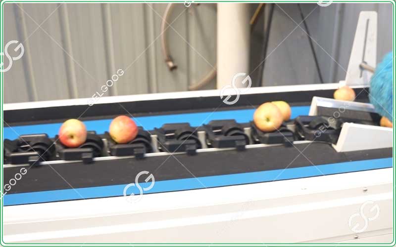 the difference between cleaning gradings and sorting