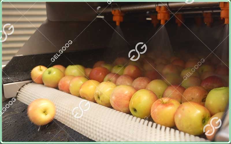 the difference between cleanings grading and sorting