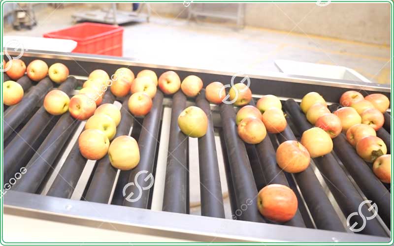 the difference between cleanings grading and sortings