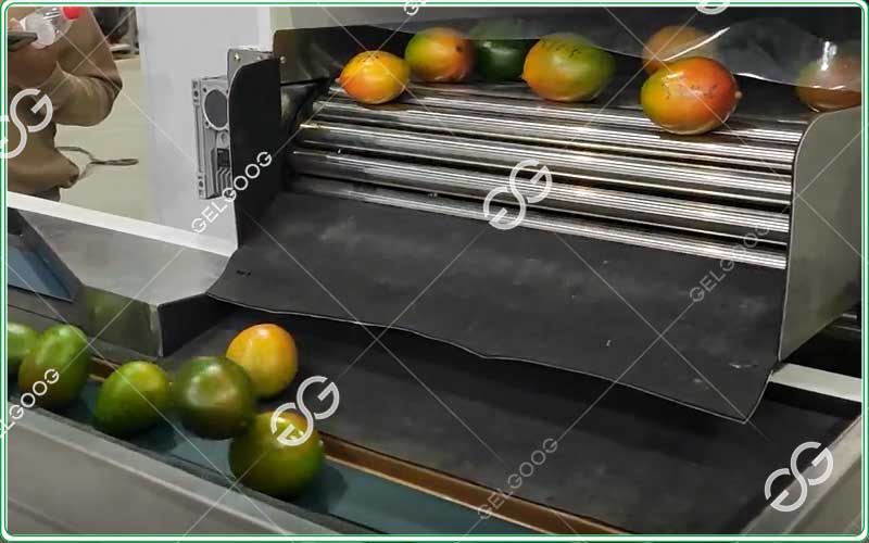 the difference between gradings and sorting