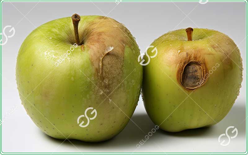 the difference between gradings and sortings