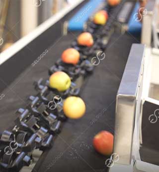 the methods of grading fruits and vegetables