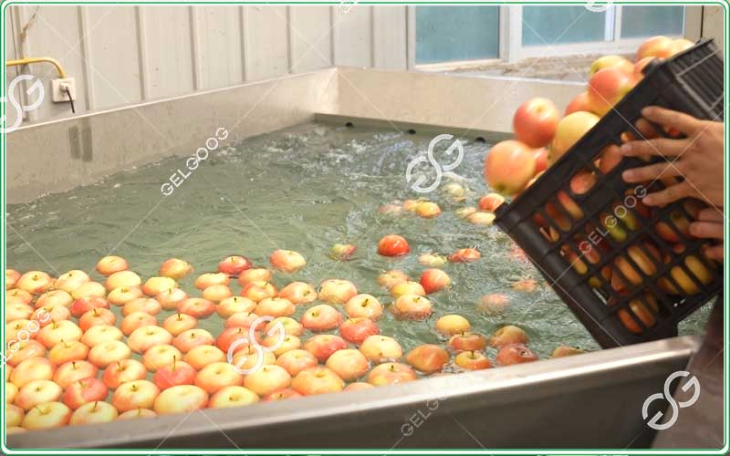 the methods of grading fruits and vegetables