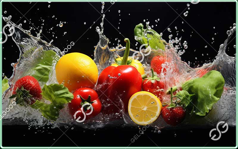  vegetable sorting industry