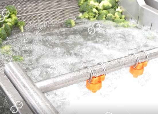 Broccoli washing machine