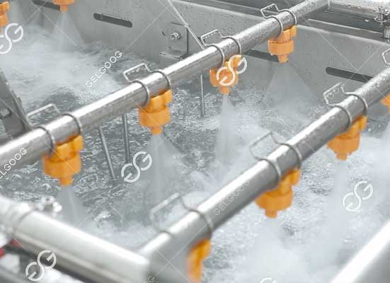 Onion washing machine