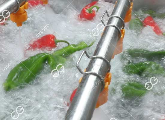 Chili Pepper washing machine
