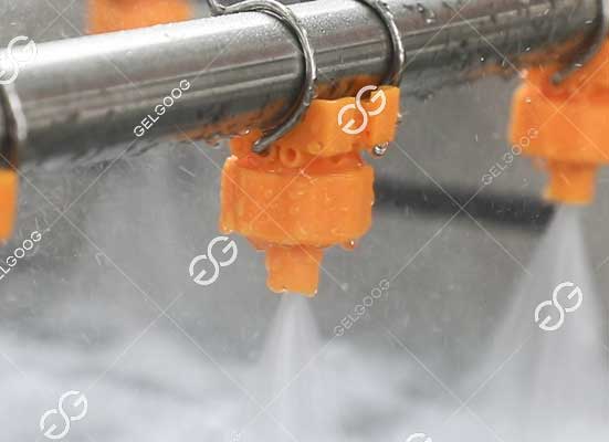 Eggplant washing machine