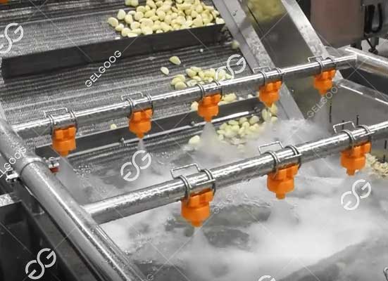 garlic clove washing machine