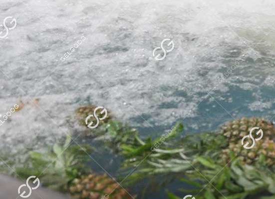Pineapple washing machine