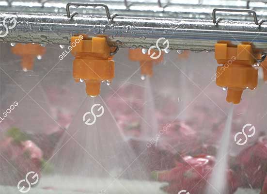 Pitaya washing machine