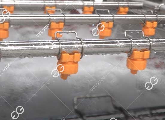 Blueberry washing machine