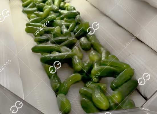 Cucumber washing machine