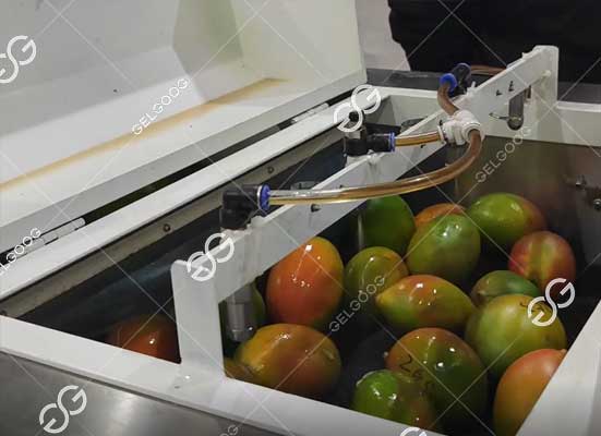Mango waxing machine