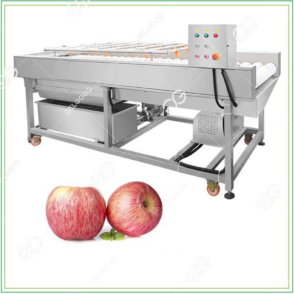 Apple Washing Machine | Fruit Cleaning Equipment