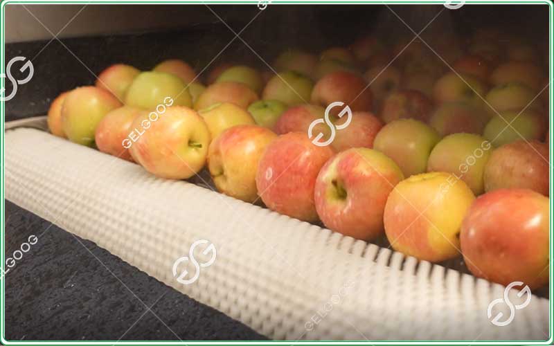 automatic-apple-washing-line