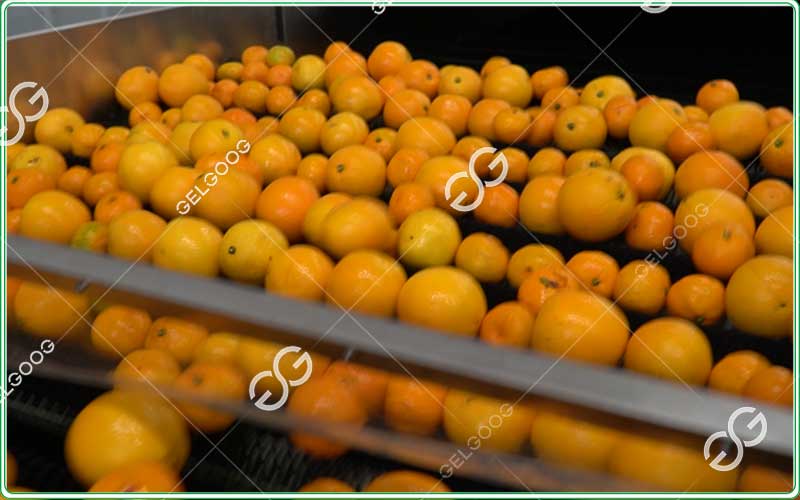 automatic-fruit-washer