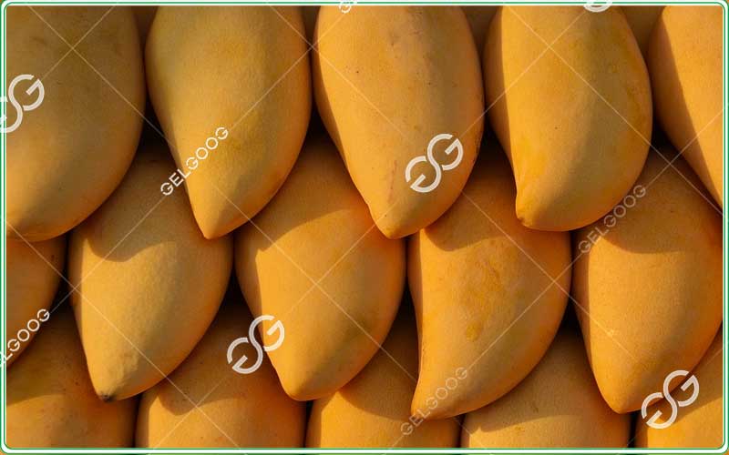 mango fruit cleaning washing machine