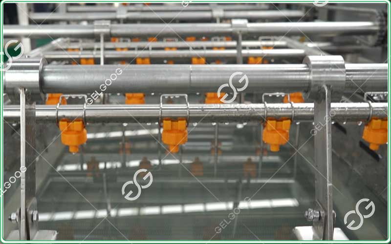 blueberry-bruise-prevention