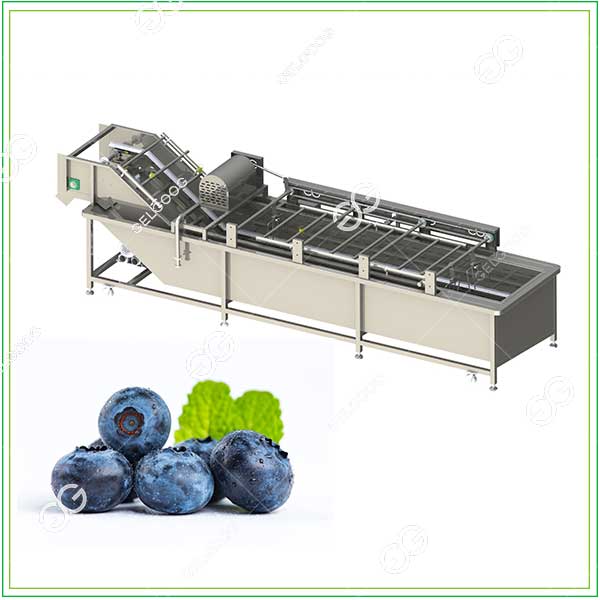 blueberry-washing-machine