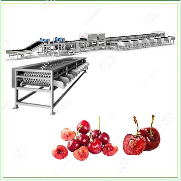 cherry-grading-machine