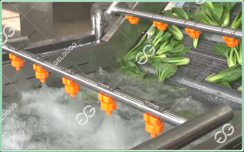 cilantro-cleaning-equipment